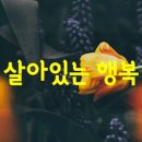 살아있는 행복 / 법륜 이미지