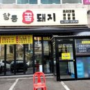 창동꿀돼지 이미지