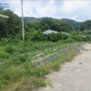 원통초등학교신덕분교장 이미지