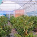 가족사랑체험펜션 이미지