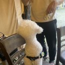 두빛나래 이미지