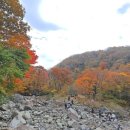 길중농장 이미지