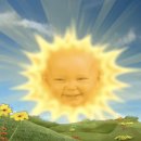 플러피 애견 풀빌라 이미지