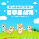 오시개 노컷뉴스