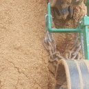 초이한우농장