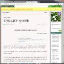 글 제목을 도둑맞다