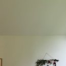 메리도그하우스 이미지