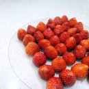 웰빙 떡만들기(취미반) | 수원 광교 떡 클래스 후기｜딸기 찹쌀떡부터 시작한 이유 (취미반 1주차)