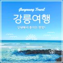 교동미술관 | 강릉 실내여행 추천! 교동과 솔올, 두 곳의 시립미술관 소개