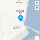 청산야영장 | 태안/애견동반가능 뷰좋은 청산리오토캠핑장 후기
