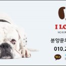 아이러브펫동물병원 이미지