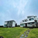 하도리 일번지 | 제주 독채 펜션 :: 하도리일번지 B동 내돈내산 태교여행 - 넓은 잔디밭이 예쁜 사진 맛집, 개별바베큐...