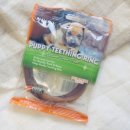 야옹이네 이미지