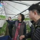 매곡농장 이미지