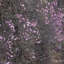 (주)삼자현 이미지