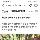 심다누그래스비프 이미지