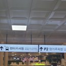 가야오토카 이미지