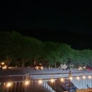 숲속계곡 이미지