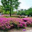 화명3동 주민센터 주차장 이미지