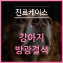 양주24시해든동물의료센터 이미지