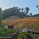 초월읍-13 이미지