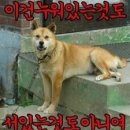 복 이미지