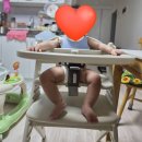 야마토야 | 내돈내산 아기원목의자 야마토야아펠소르베 후기
