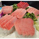 사조회참치 이미지