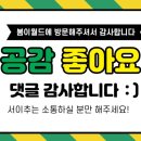감플레르 이미지