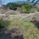 거두리낚시터 이미지