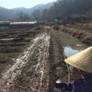 이종태농장 이미지