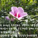 다울에듀 이미지