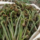 참솔에너지 이미지