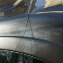 이글지프 이미지