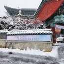 군산반야유치원 이미지