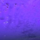 삼우주유소 이미지