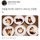 간장을 부으면 고양이가 나타나는 간장 종지 이미지