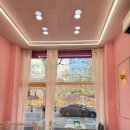 위드댕댕 이미지