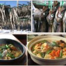 박지연명품생태 이미지