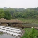 숲과문화학교 5월 숲생태문화기행 1- 장성 금곡마을숲에서 이미지