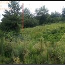 금마세차장 이미지