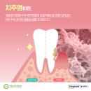더봄치과 이미지