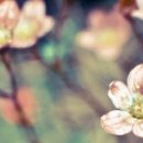 소문난집 이미지