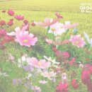 오복 이미지