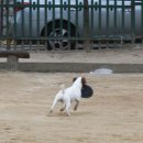 역곡초등학교 이미지