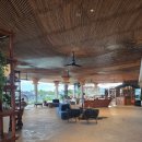 오션갤러리 리조트 | [보홀 여행] 보홀 사우스팜 리조트 앤 스파 엠갤러리 풀억세스 오션뷰 숙박 후기