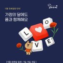 품 동물의료센터 이미지