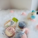 다올 그루밍 이미지