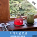 자연으로 | 경남 하동 여행 가볼만한곳 카페 자연으로 내돈내산 추천