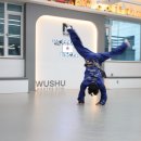 국가대표 우슈도장 이미지